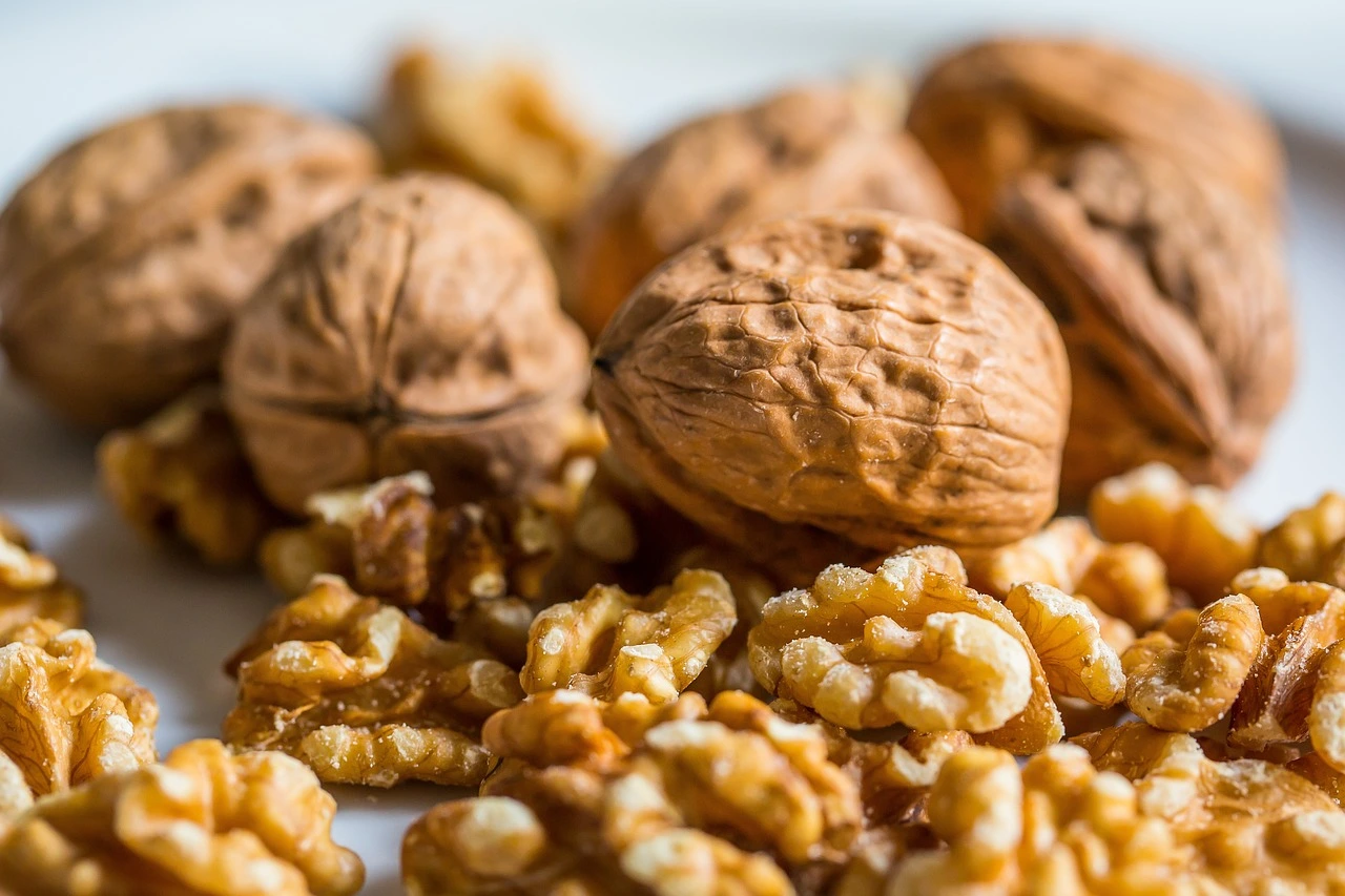 Premium walnuts in Sharjah, showcasing their rich vitamin E content and health benefits for a nutritious diet