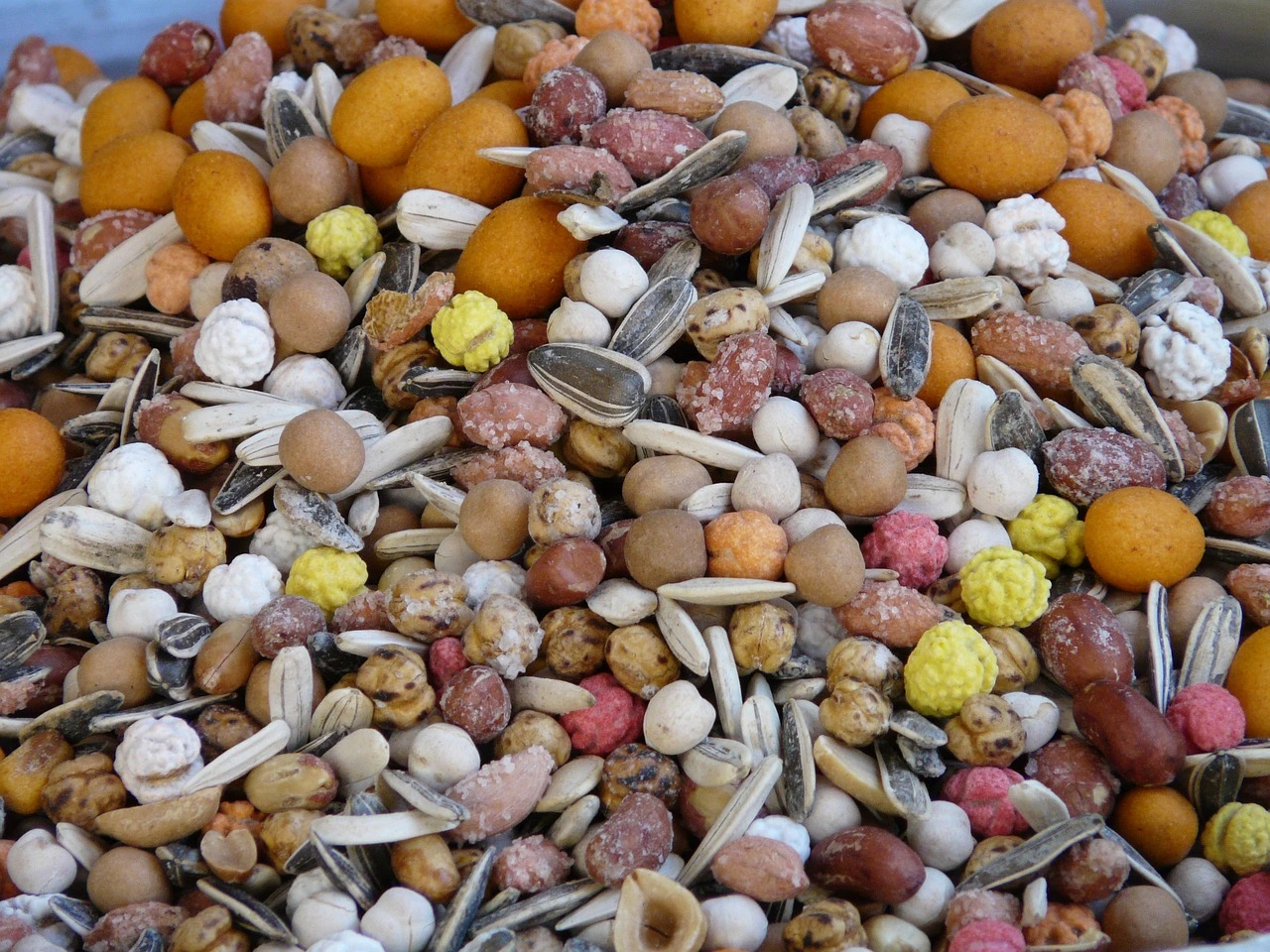 A bowl filled with an assortment of premium seeds, showcasing a variety of textures and colors, set against a neutral background