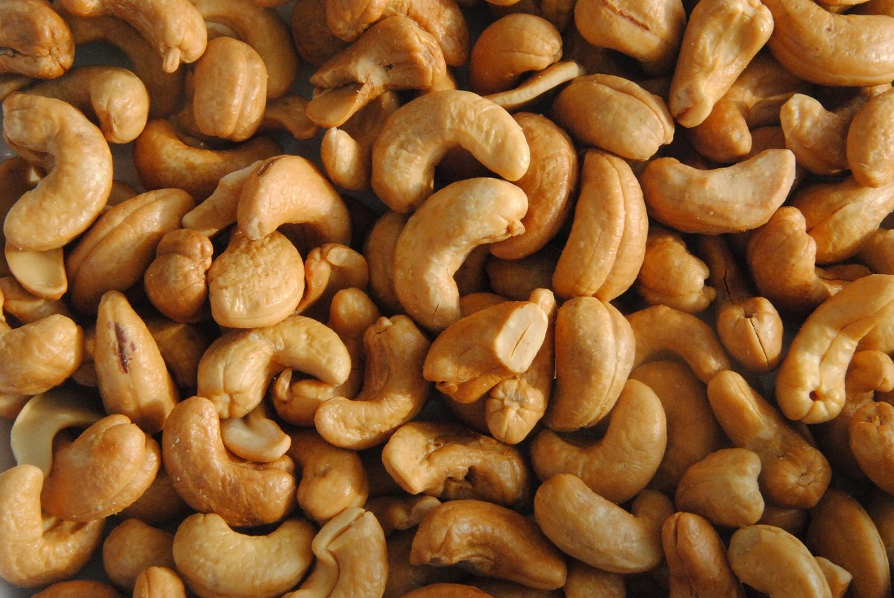 Premium cashews in Sharjah, showcasing their rich protein content and health benefits in an appealing presentation